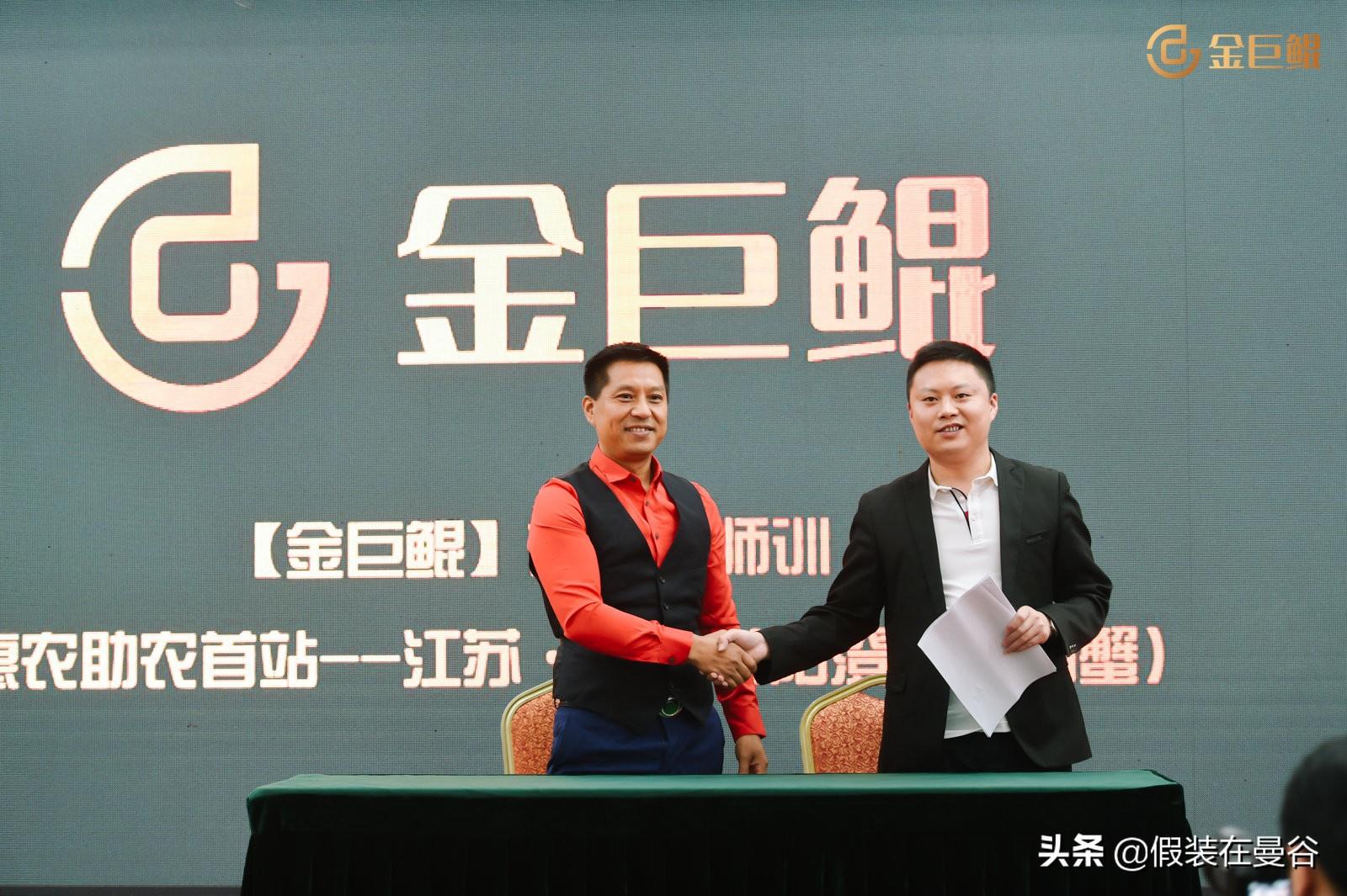 金巨鲲最新动态揭秘，探索未知领域，引领游戏新潮流